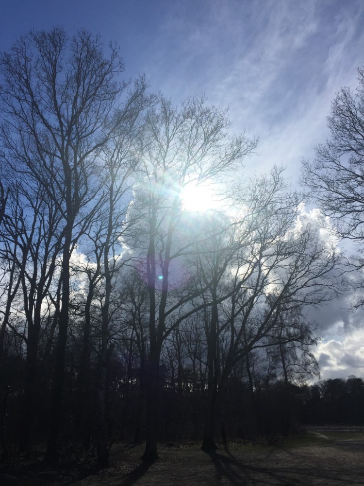 Lucht